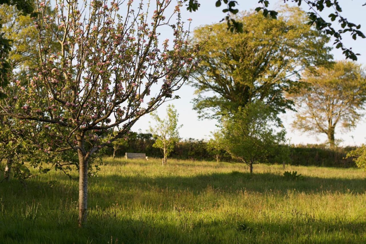 مبيت وإفطار بارنستابل Holwell Holistic Retreat المظهر الخارجي الصورة