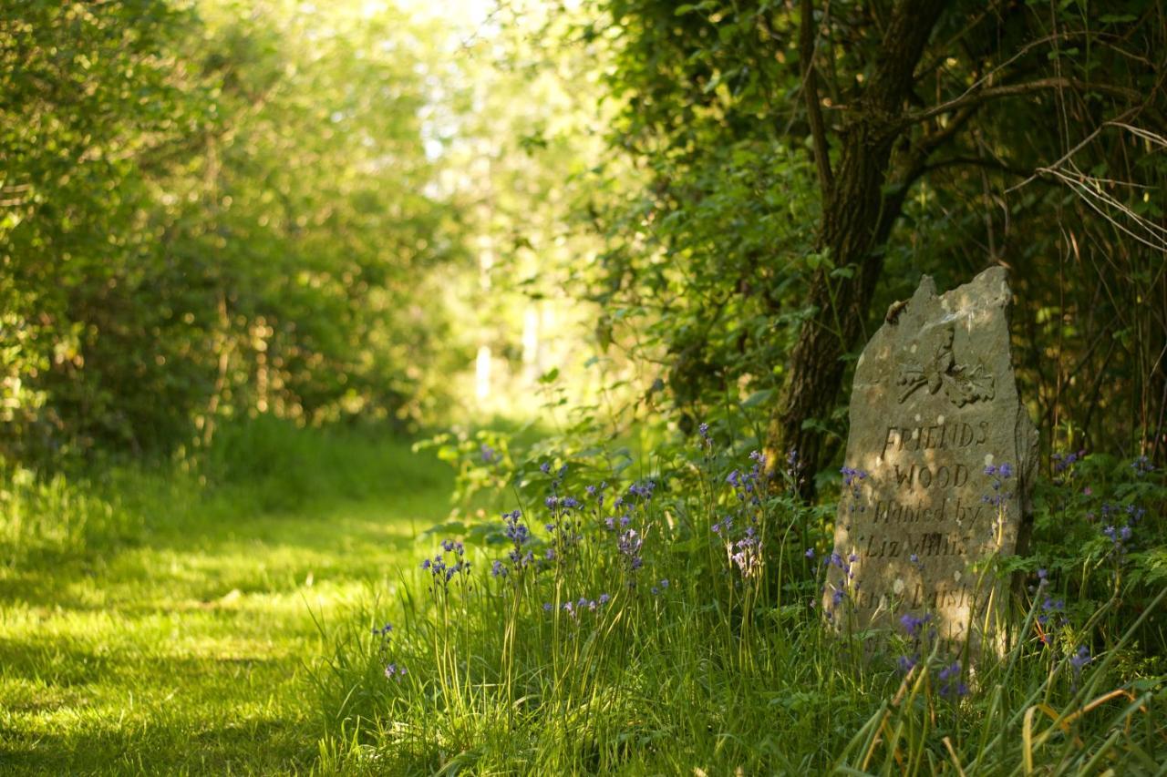 مبيت وإفطار بارنستابل Holwell Holistic Retreat المظهر الخارجي الصورة