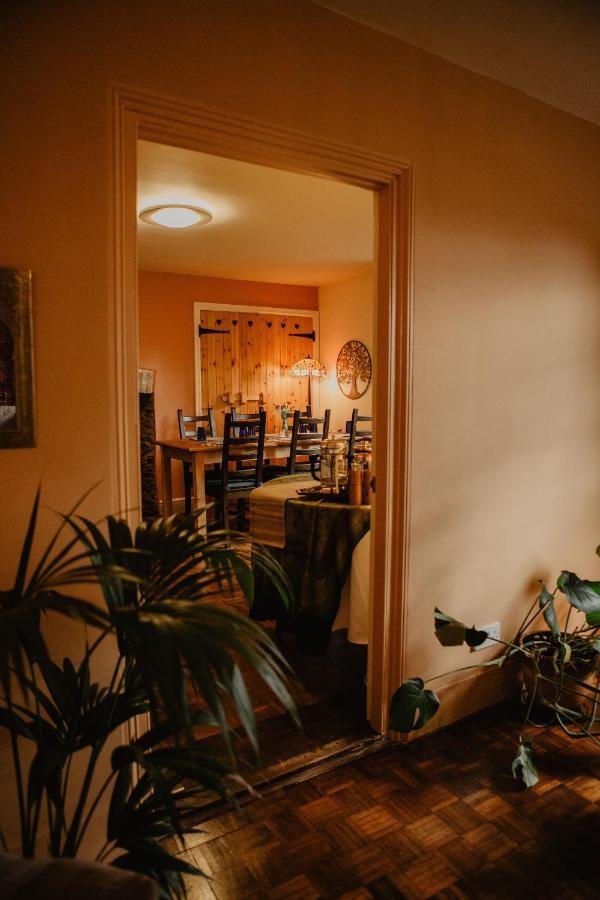 مبيت وإفطار بارنستابل Holwell Holistic Retreat المظهر الخارجي الصورة